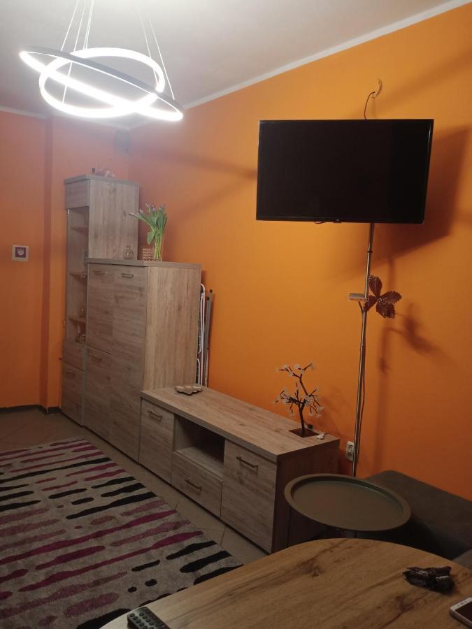 Uroczy Apartament Краков Экстерьер фото